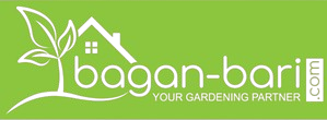 Bagan Bari